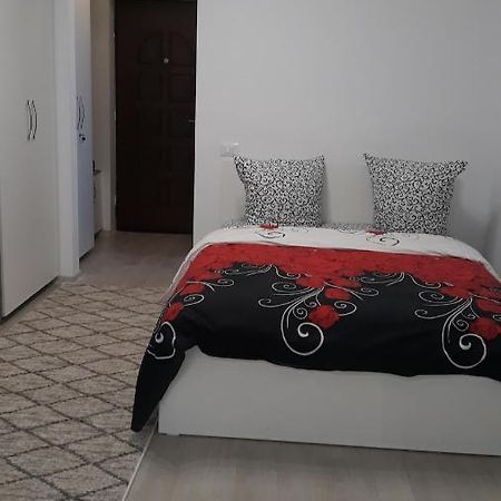 Irvin Apartament ヤシ エクステリア 写真
