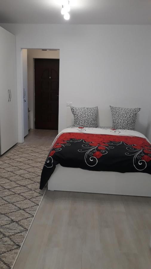Irvin Apartament ヤシ エクステリア 写真