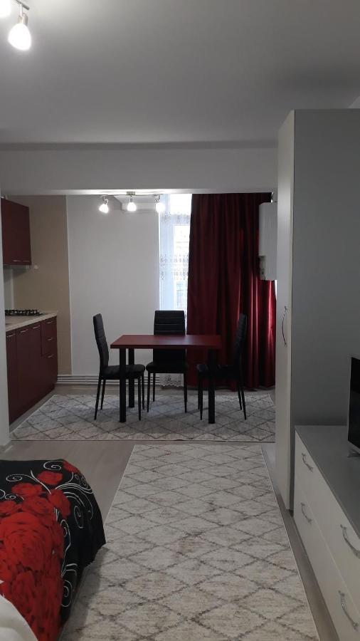 Irvin Apartament ヤシ エクステリア 写真